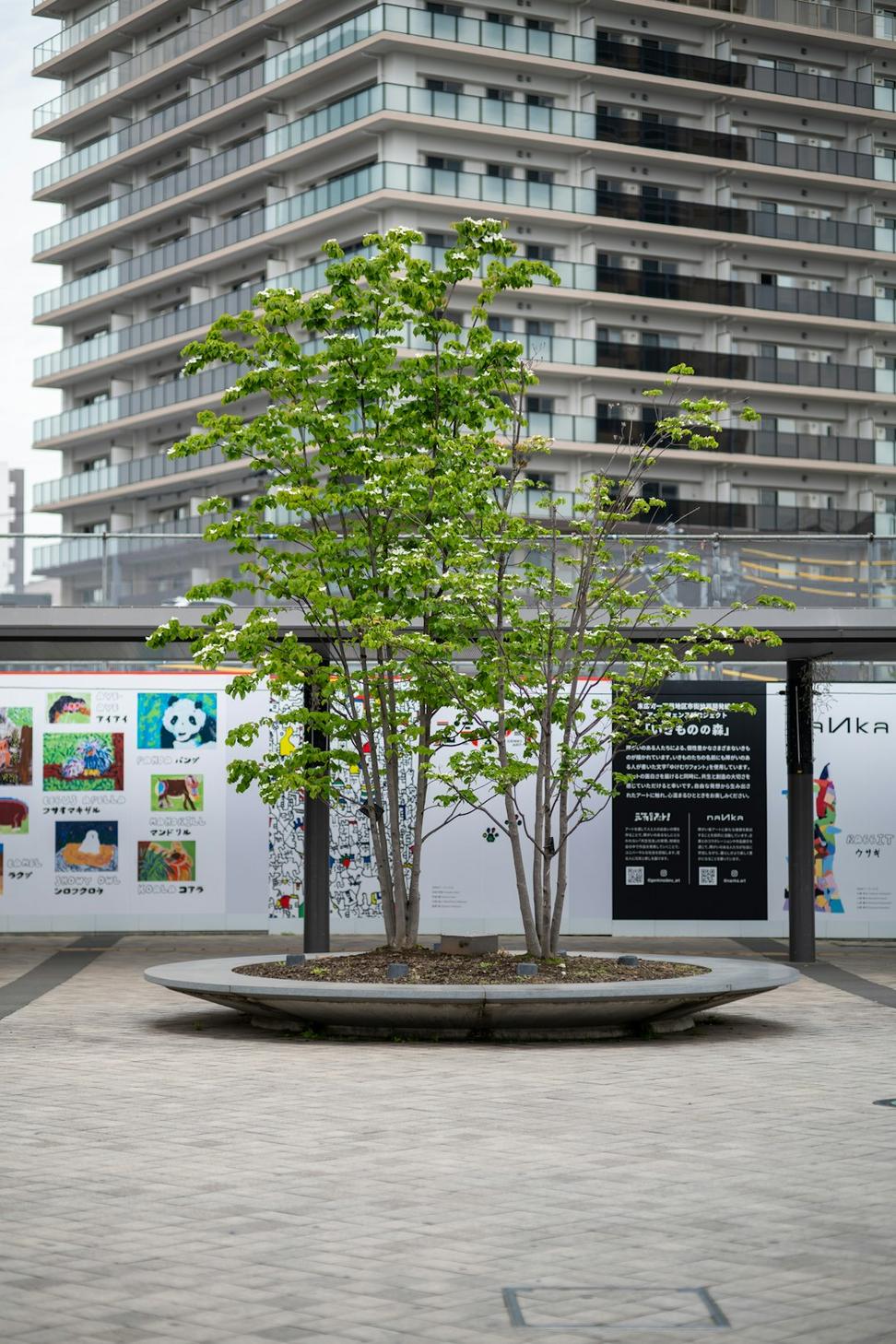 Junction Urban Revitalization
