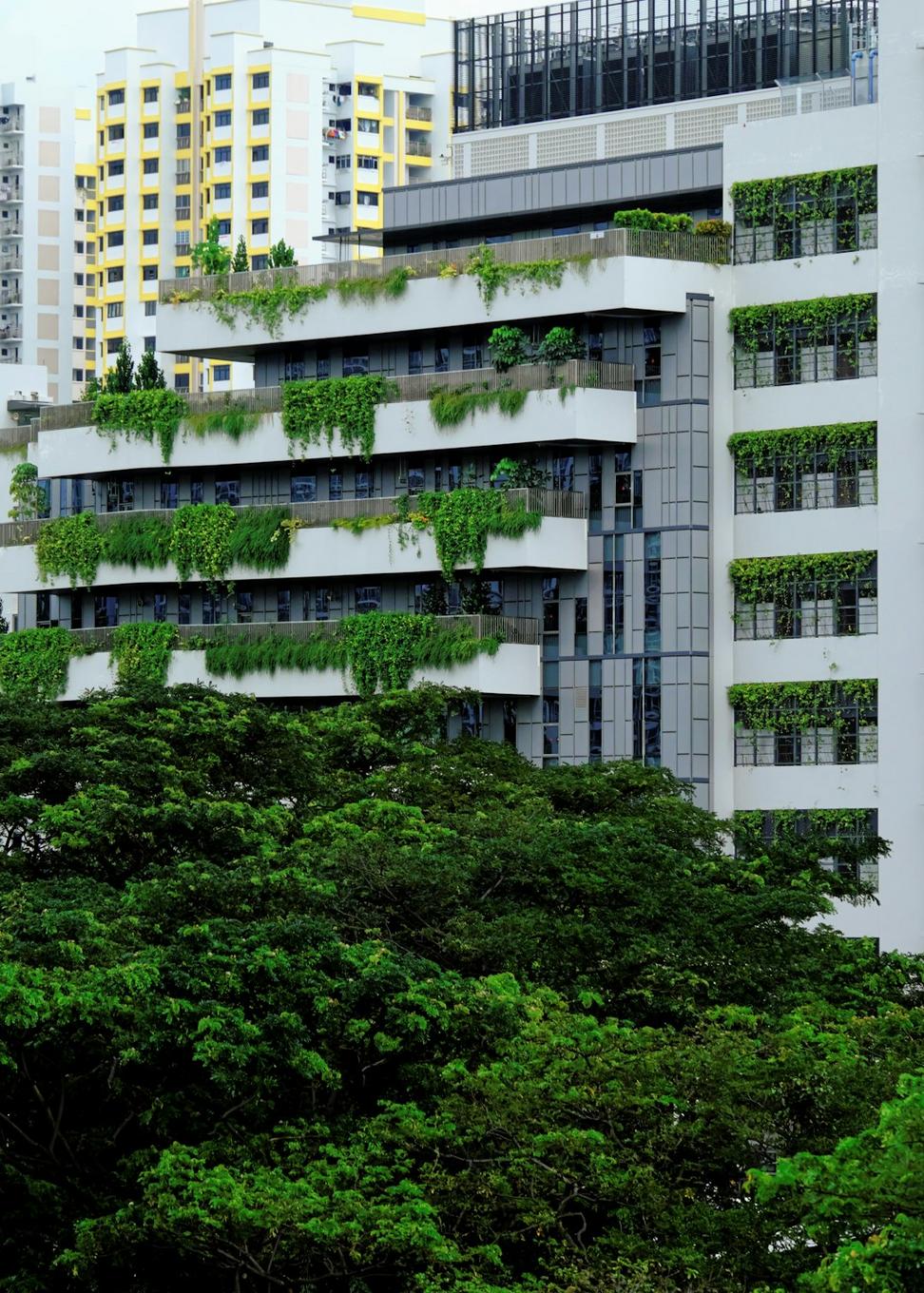 Sustainable building practices